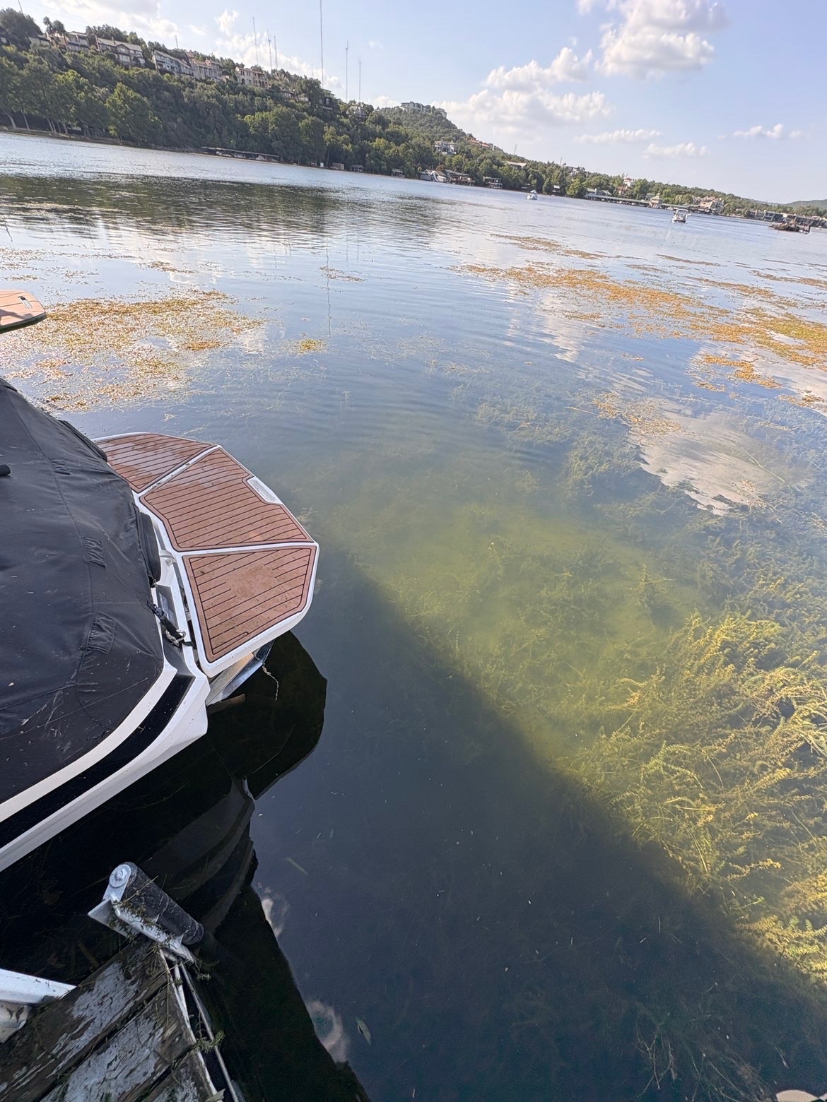 Clear open water beside the same dock after hydrilla removal